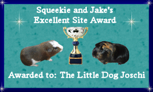Squeekie and Jake's Excellent Site Award