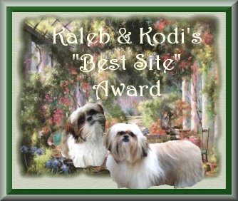Kodi & Kaleb's Doghouse - The previous URL is no more valid!