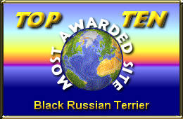 Black Russian Terrier Finland